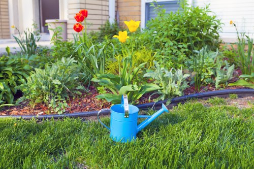 Professional garden clearance service in Stoke Newington