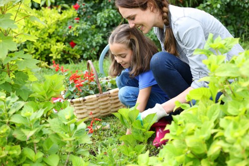 Healthy garden soil with compost in Stoke Newington
