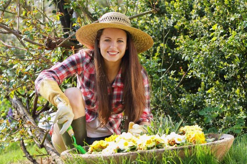High-quality lawn mowing equipment