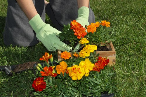 Experienced gardener servicing a lawn