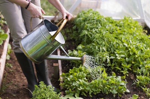 Selection of native plants for Stoke Newington landscapes