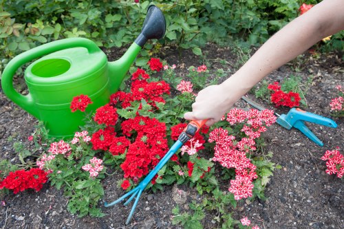 Professional pressure washing services at a Stoke Newington home exterior